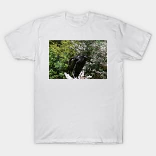 Eagle In Flight T-Shirt